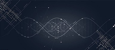 Microwave Resonators